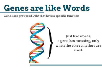Genes are like words
