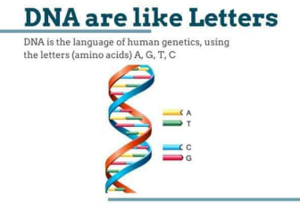 DNA are like letters
