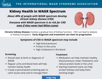 2024KidneyHealthCKD_onepagefinal.png