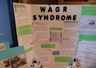 Image of hand-made WAGR syndrome poster for awareness event