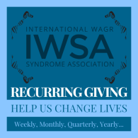 IWSA Monthly Giving - Momentum builds success