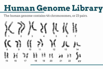 Human Genome Library