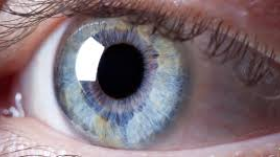 Normal Cornea
